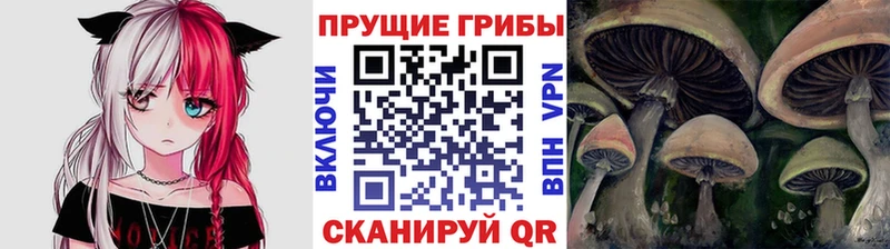 Псилоцибиновые грибы MAGIC MUSHROOMS  Курильск 